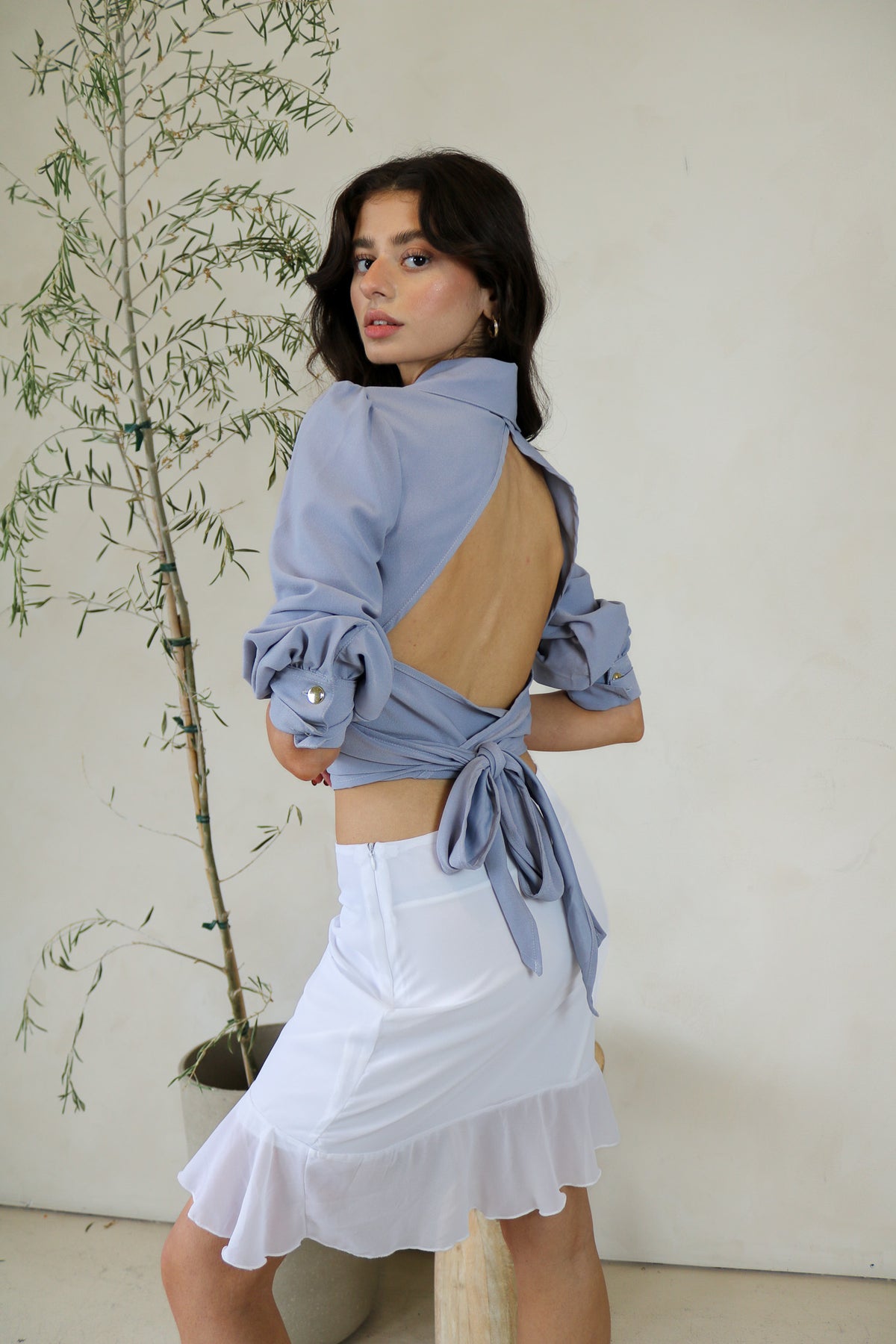 Bishop Sleeve Crop Top